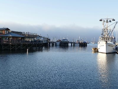 Jigsaw puzzle Boats in the Monterey marina