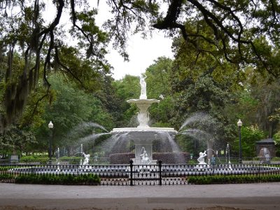 Savannah Jigsaw Puzzles