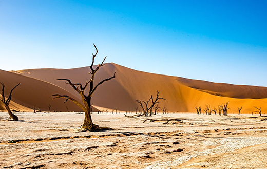 Namib-desert