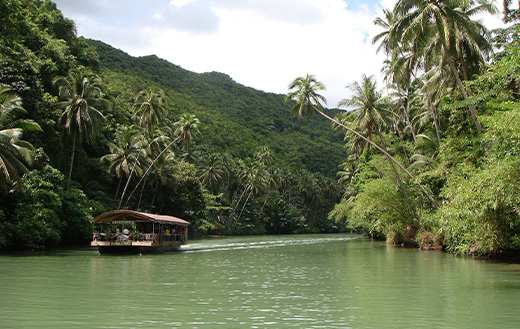 Rainforest Bohol Philippines