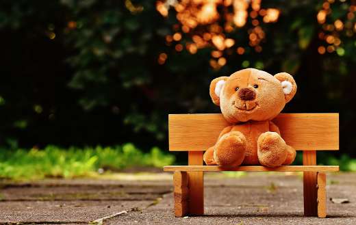 Brown teddy bear on brown wooden bench outside