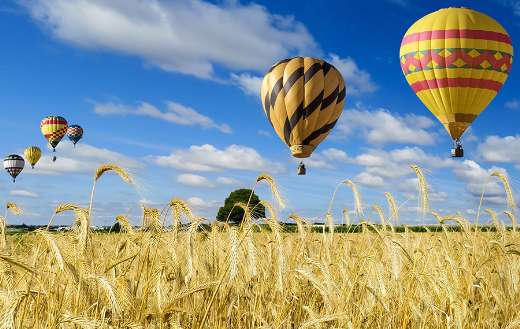 Hot air balloon in nature online