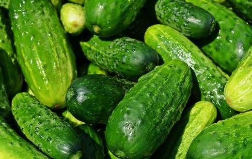 Cucumbers vegetables puzzle