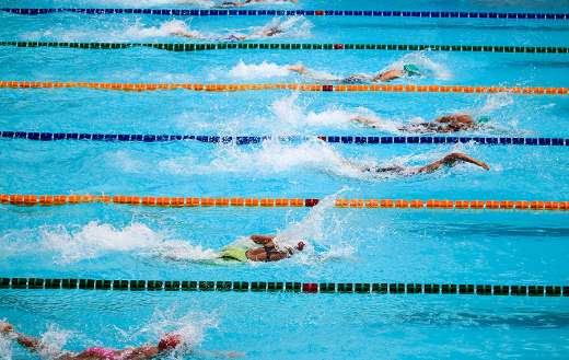 Swimming race online