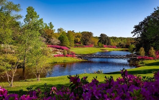 Landscape 33 puzzle
