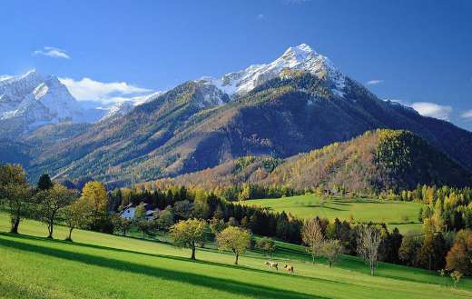 Beautiful landscape meadow alpine