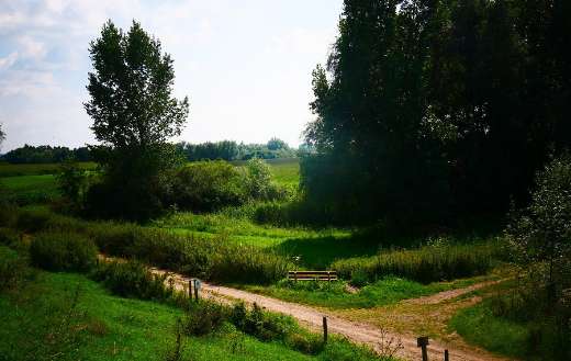Countryside nature pathway