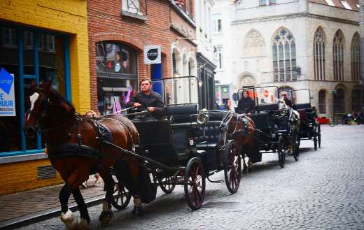Horses carriage transportation