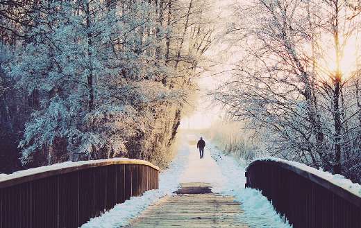 Winter nature pathway