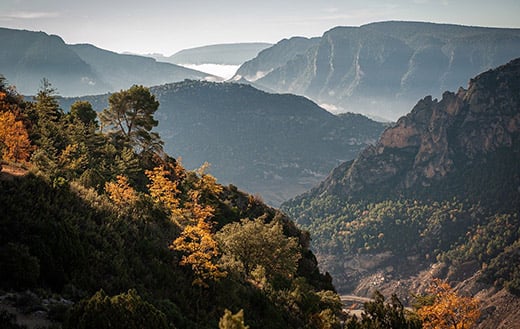 landscape-24