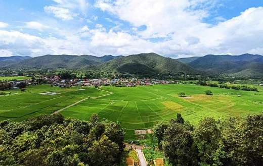 Rice field farm nature and village