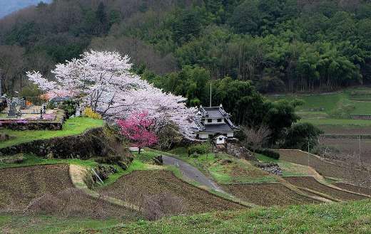Japan Landscape countryside