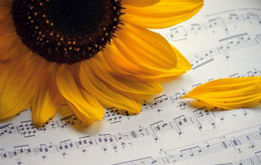 Summer songs notes