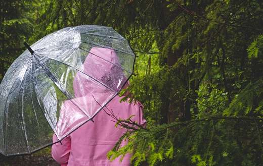 Transparent umbrella rainy time