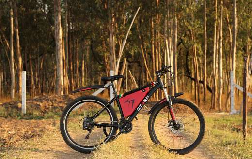 Electric bike online