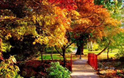 Stunning autumn colors nature
