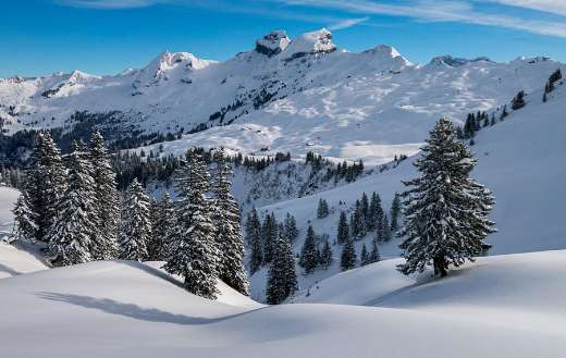 Nature landscape winter Hochybrig pre alps