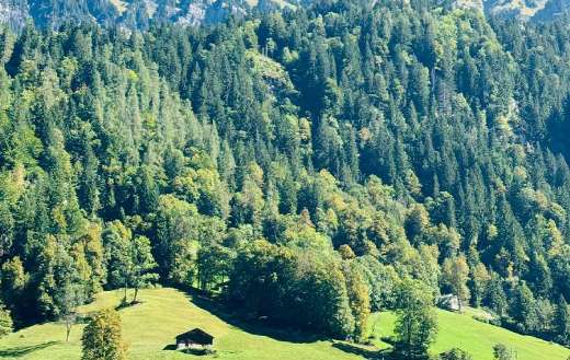 Nature landscape with visible wooden chalets