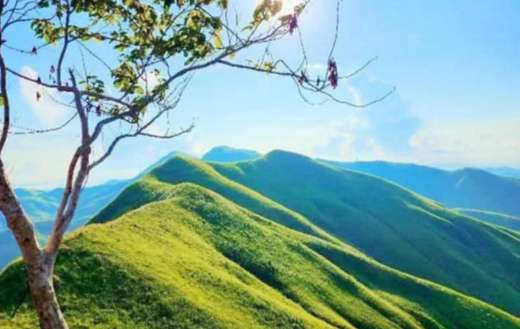 Picturesque landscape with rolling green hills