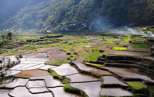 Rice terraces of Banaue Philippines
