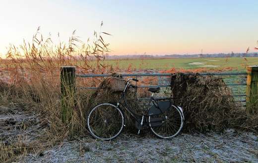 Bicycle leaning against metal fence