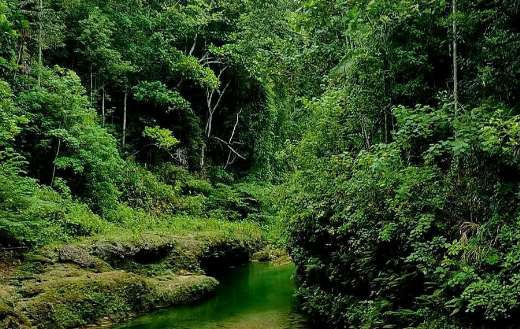 Danicop Ticugan spring natural cold Loon Bohol