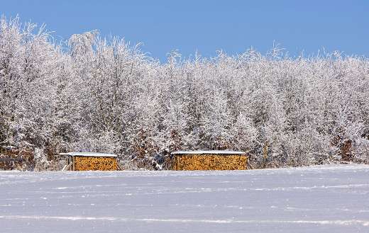 Snowy winter landscape on a sunny day
