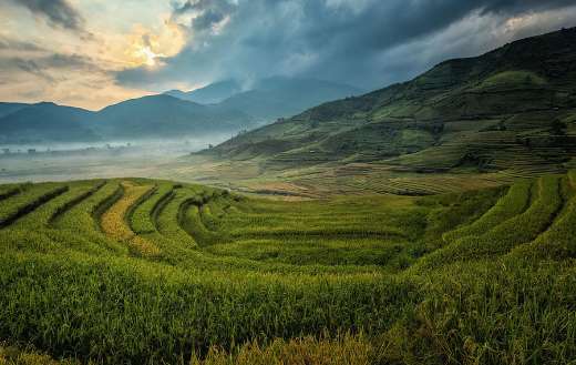 Agriculture expansive terraced rice fields