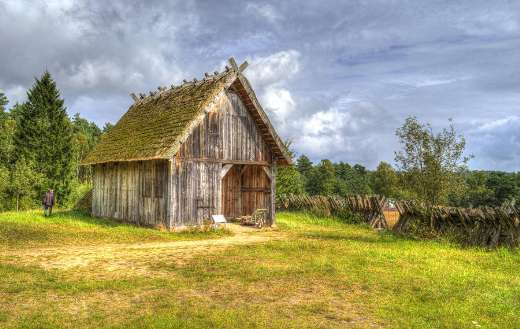 Barn cabin sorrounded with trees