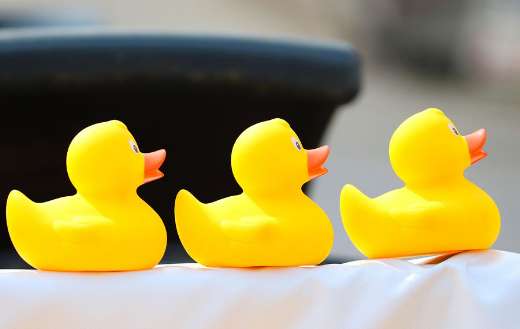 Classic yellow rubber duck