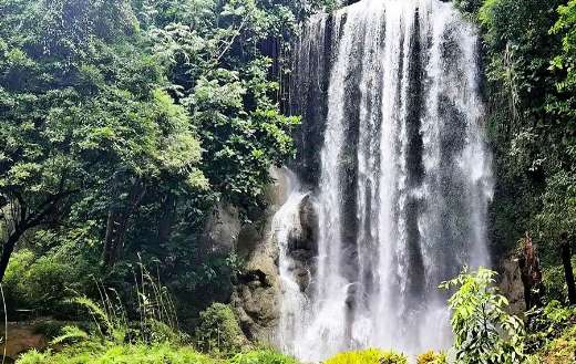 Natural retreat with scenic beauty