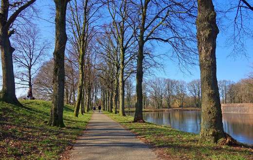 Paved walking path line with trees bare branches