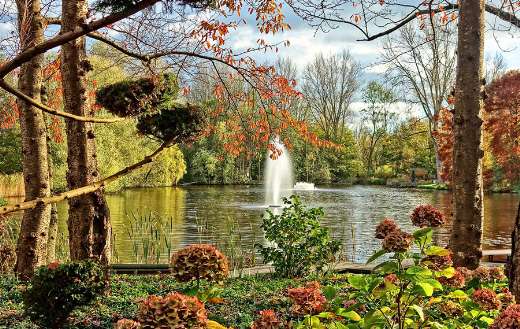 Pond fountain nature park