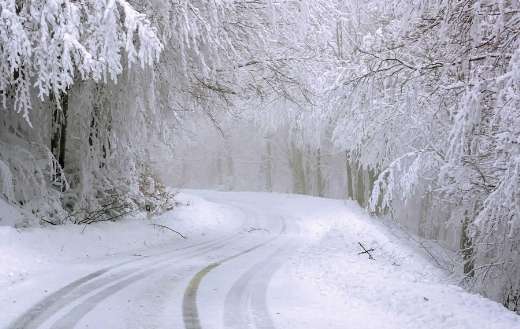 Snow covered road through forest