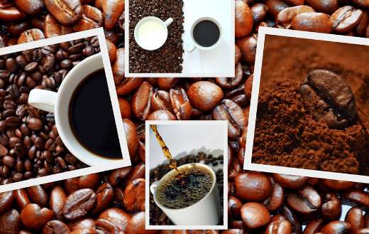 Different stages and forms of coffee beans