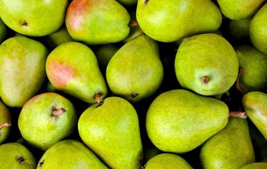 Popular type of fruit pears