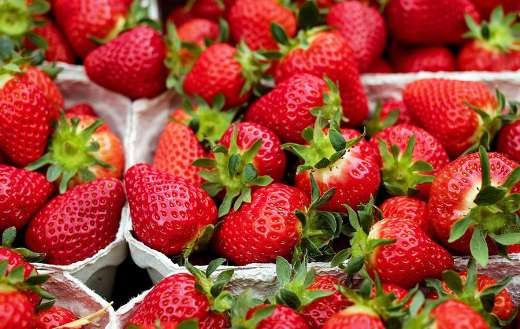 Ripe strawberries or summer royals