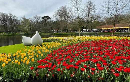 The keukenhof 101