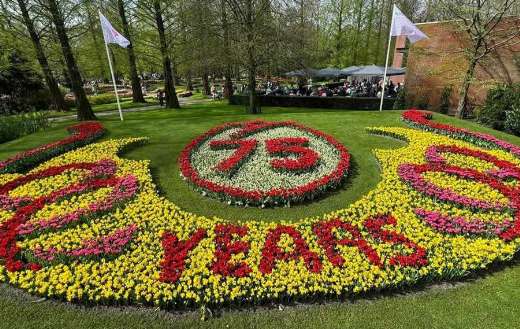 The keukenhof flower park