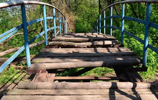 Dilapidated wooden bridge in forested area