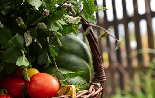 Wicker basket filled with fresh vegetables herbs