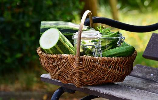 Wicker basket with fresh zucchinis
