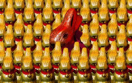 Collection of Lindt chocolate gold bunnies