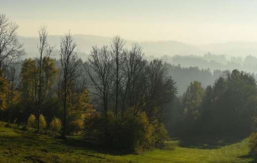 Peaceful hilly landscape nature in Austria
