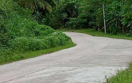 Winding concrete road landscape
