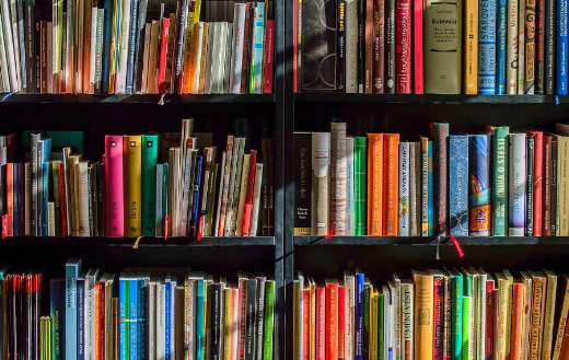 Bookshelf full of books