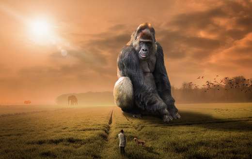 Fantasy picture of big gorilla