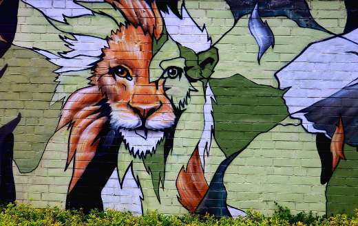 Lions mural head half depicted