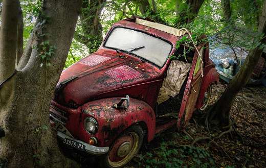 Rusty abandoned classic car that overgrown by trees