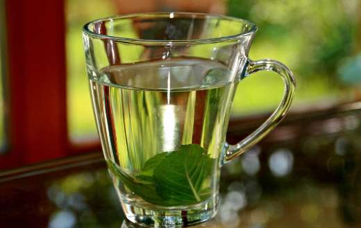 Clear glass mug filled with- fresh mint tea